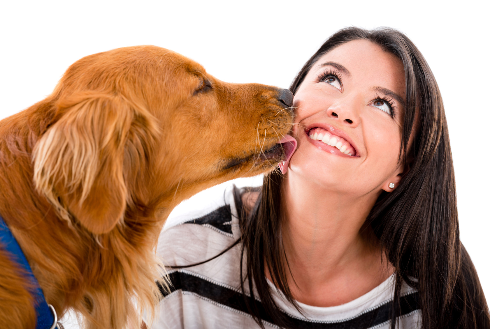 Dreaming in Libro: How A Good Dog Tamed A Bad Woman