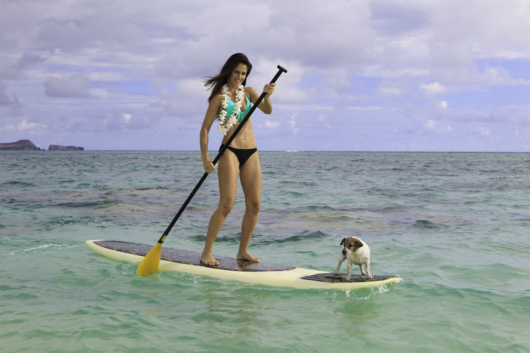 Hawaii – Visting with your pet