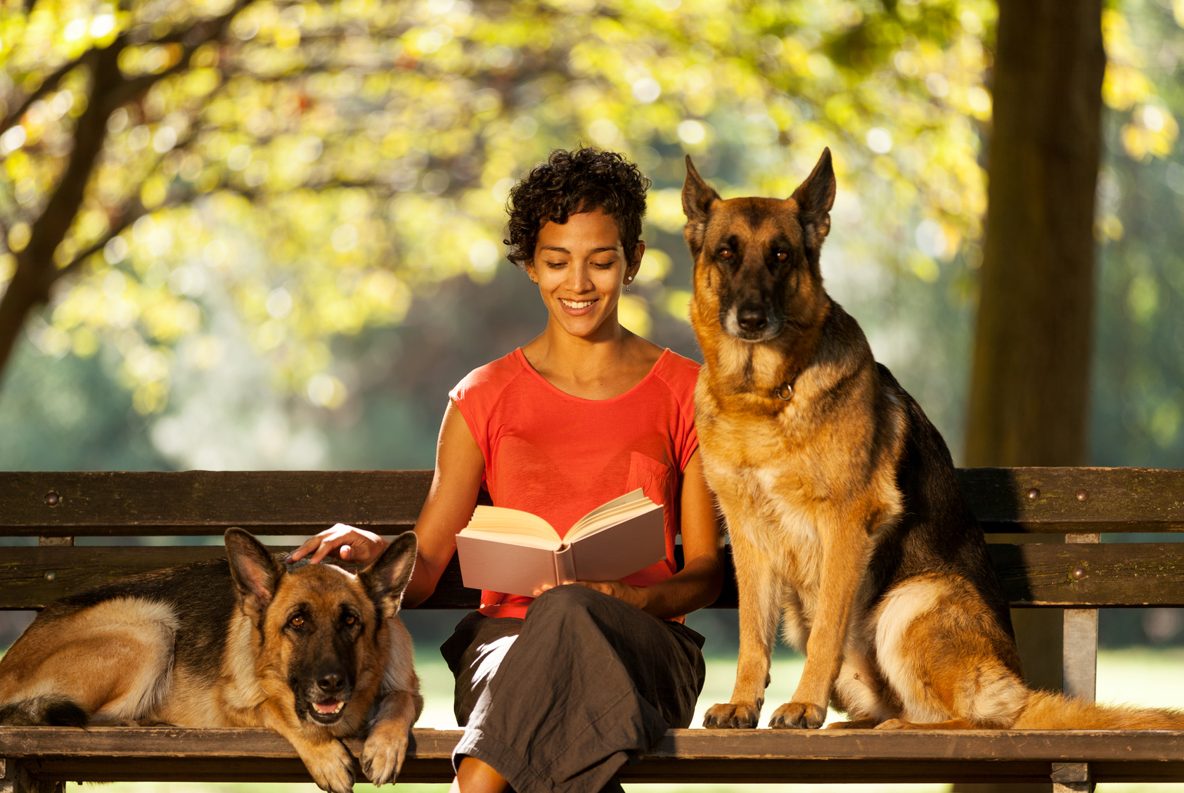 Finding A Pet Sitter