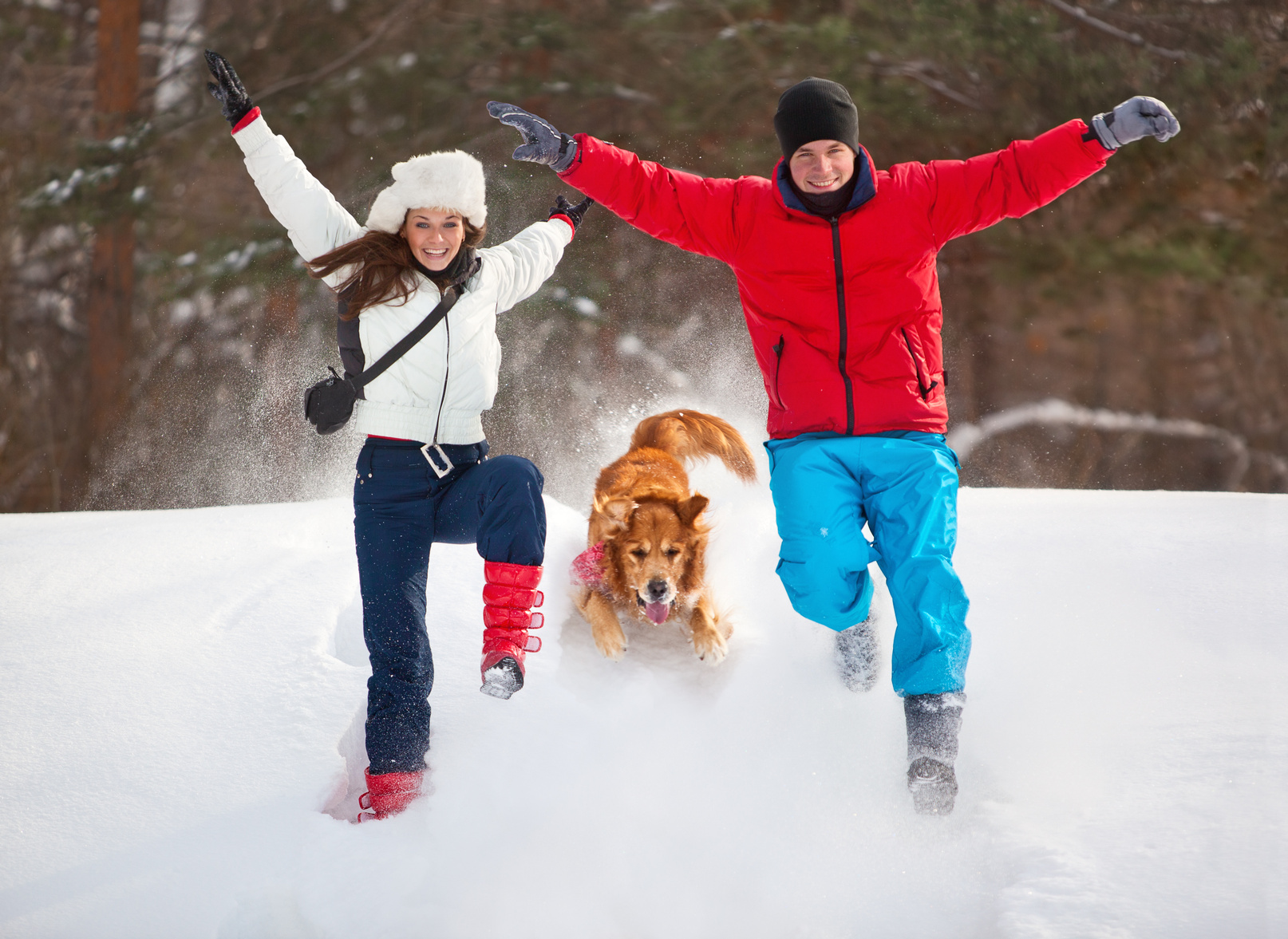 Dog Friendly First Dates