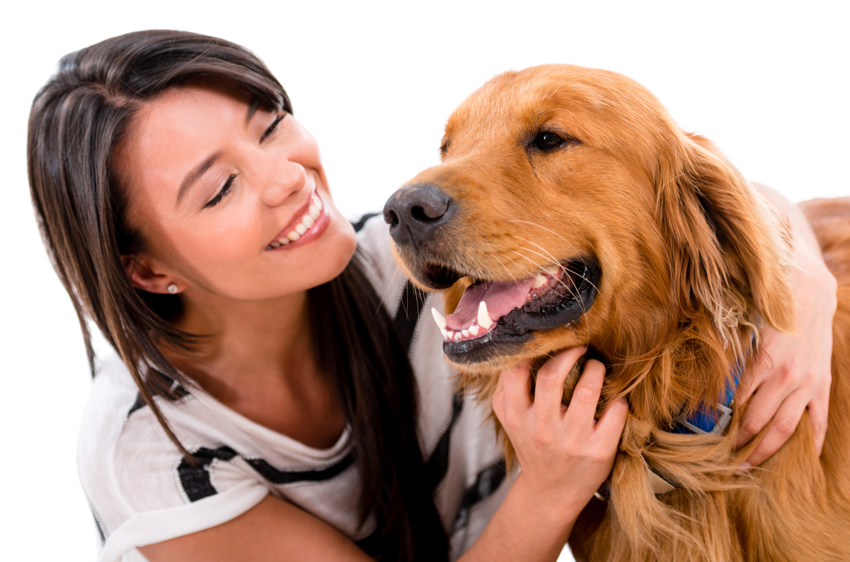 Dog Senses