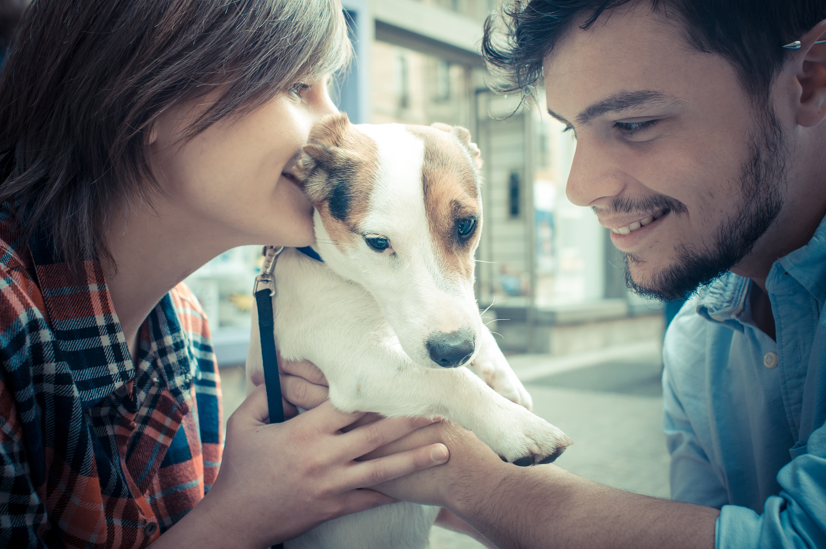 Pup Lead To Soul Mate