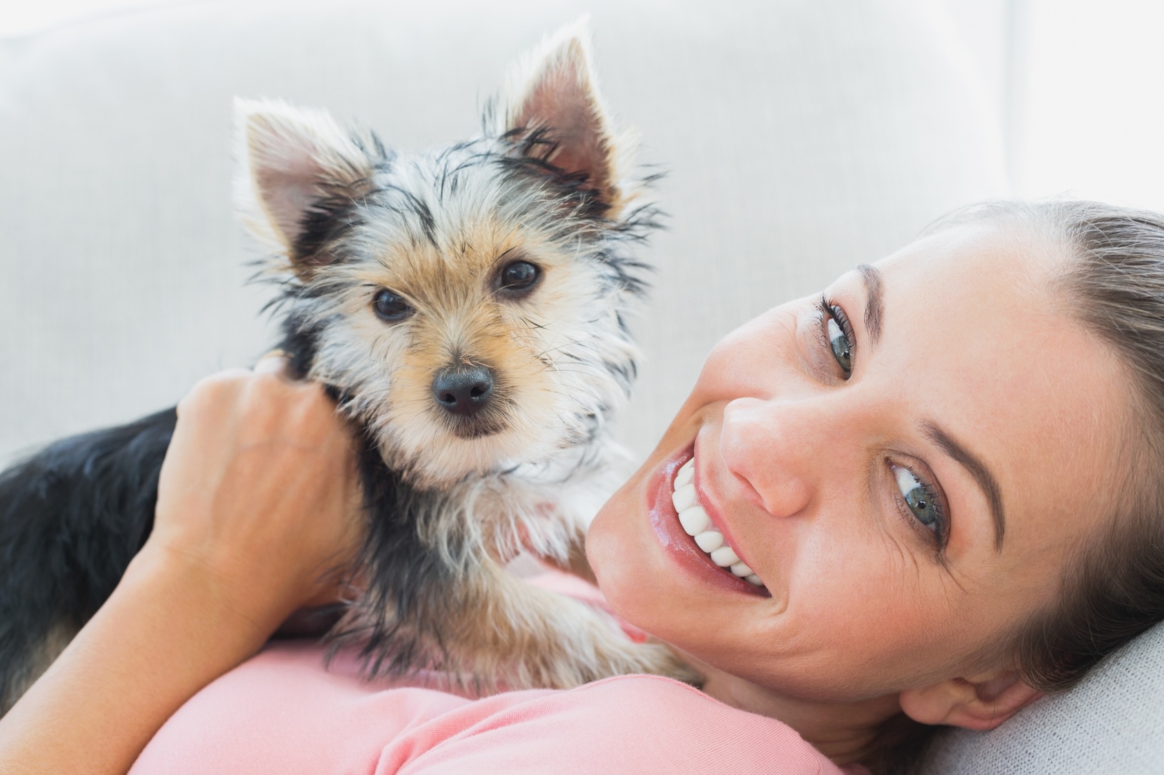 What Pets Say About You