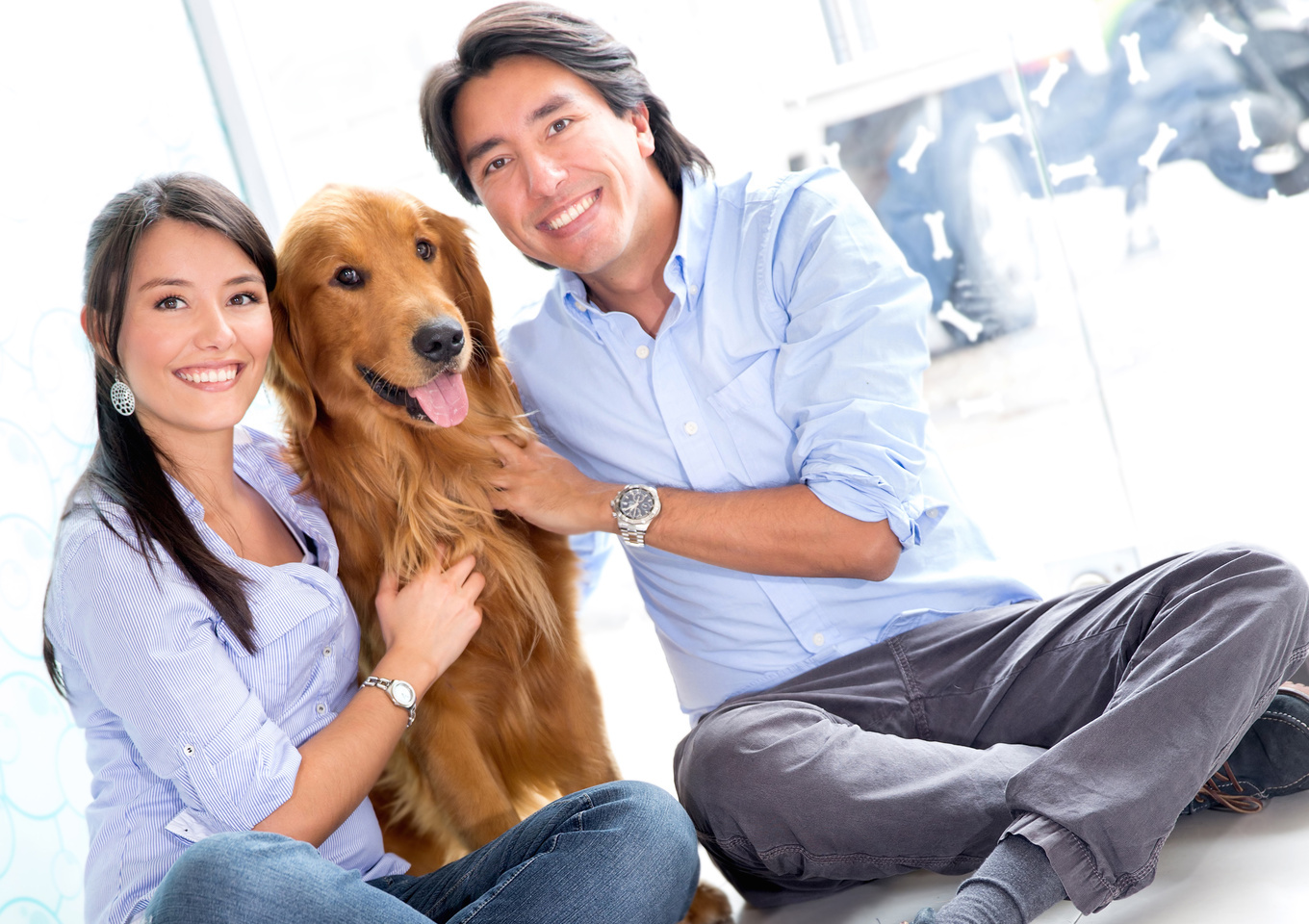 Pet Owners And Dating